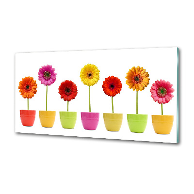 Glasrückwand für die küche Bunte Gerbera