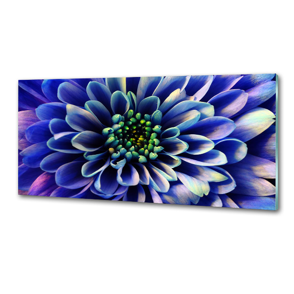 Platte für Küchenrückwand Aster