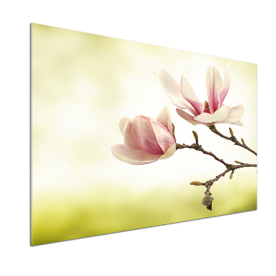 Glasrückwand für die küche Magnolie