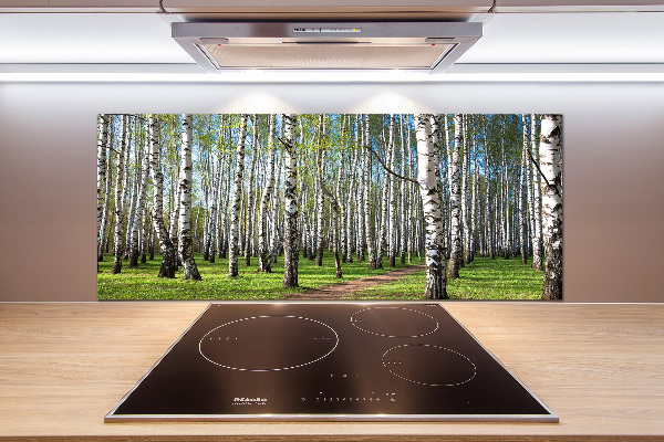 Glasrückwand für die küche Birkenwald