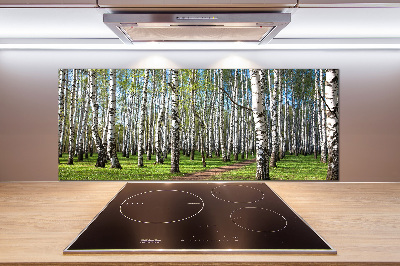 Glasrückwand für die küche Birkenwald