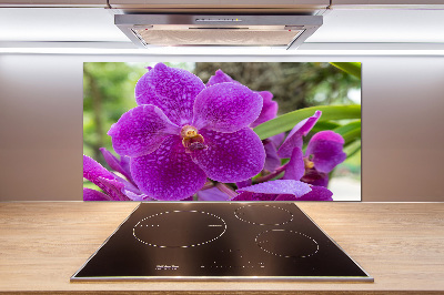 Küchen wandpaneel Orchidee