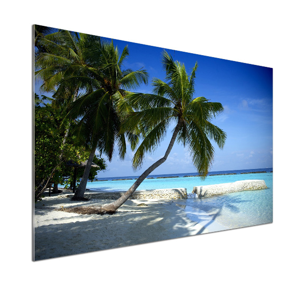 Küchen wandpaneel Tropischer Strand