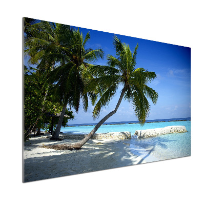 Küchen wandpaneel Tropischer Strand