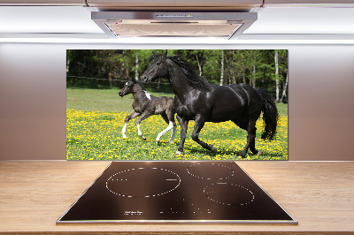 Platte für Küchenrückwand Stute mit Fohlen