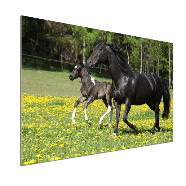 Platte für Küchenrückwand Stute mit Fohlen