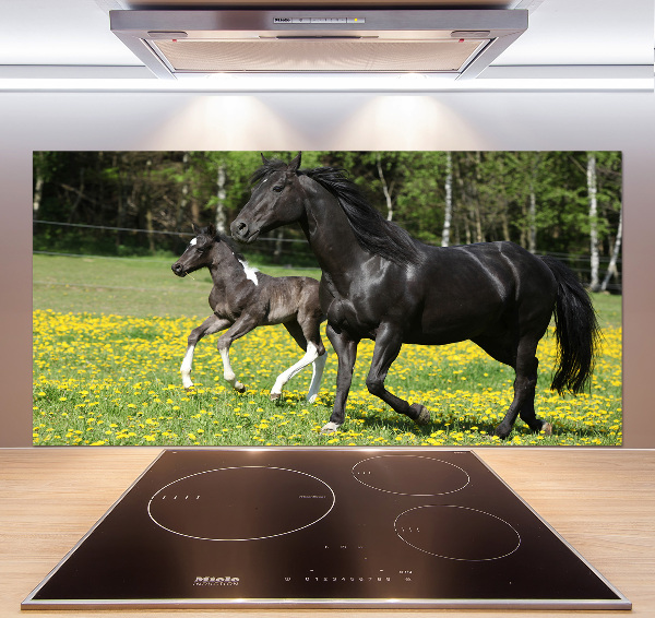 Platte für Küchenrückwand Stute mit Fohlen
