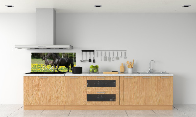 Platte für Küchenrückwand Stute mit Fohlen