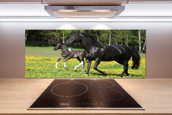 Platte für Küchenrückwand Stute mit Fohlen