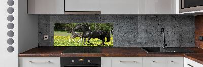 Platte für Küchenrückwand Stute mit Fohlen