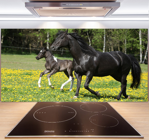 Platte für Küchenrückwand Stute mit Fohlen
