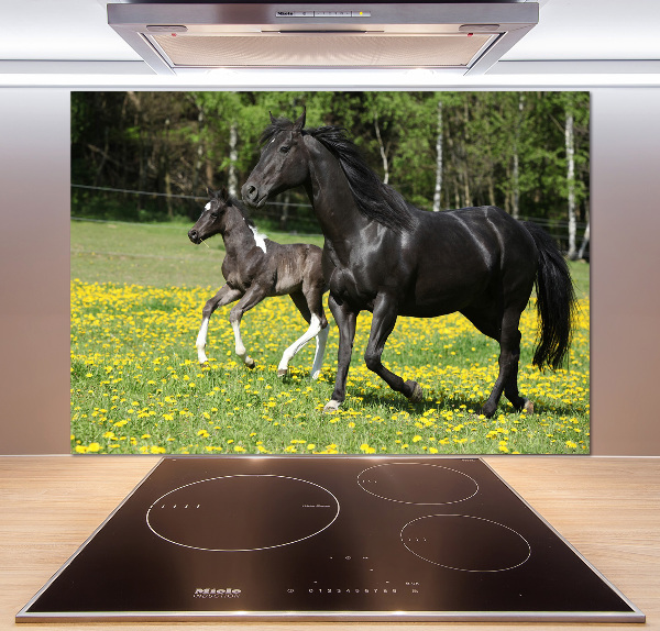 Platte für Küchenrückwand Stute mit Fohlen