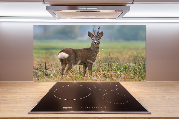 Glasrückwand für die küche Rogen