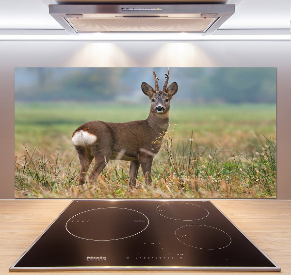 Glasrückwand für die küche Rogen