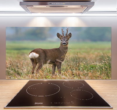 Glasrückwand für die küche Rogen