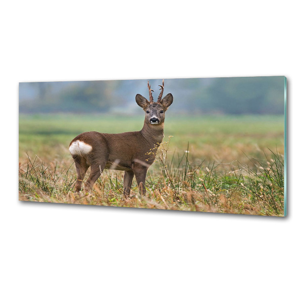 Glasrückwand für die küche Rogen