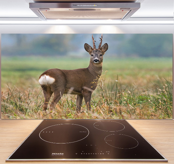 Glasrückwand für die küche Rogen