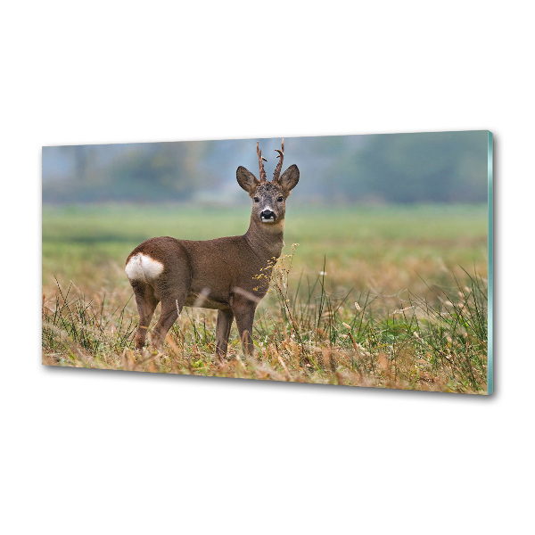 Glasrückwand für die küche Rogen