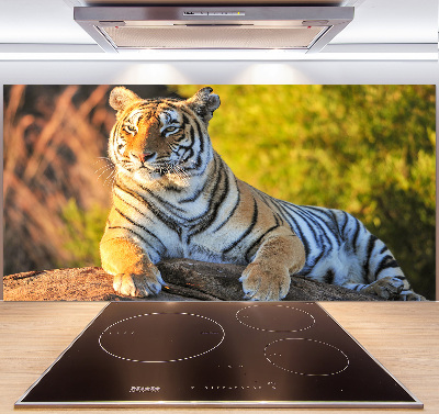 Platte für Küchenrückwand Porträt eines Tigers