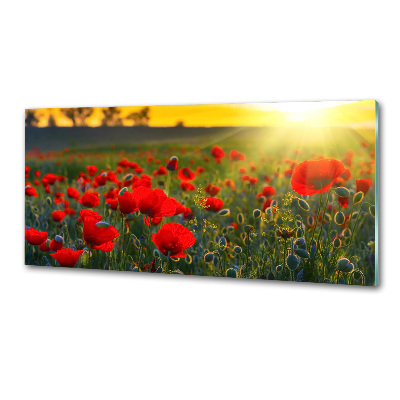 Glasrückwand für die küche Mohnfeld