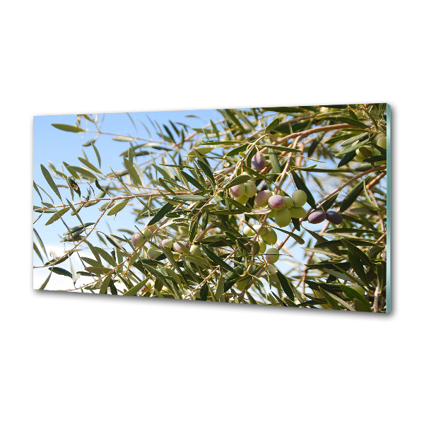 Platte für Küchenrückwand Olivenbaum