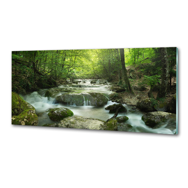 Platte für Küchenrückwand Wasserfall im Wald