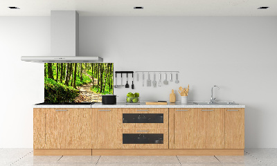 Küchen wandpaneel Pfad im Wald