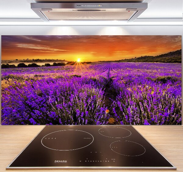 Glasrückwand für die küche Lavendelfeld