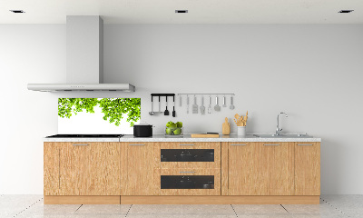 Glasrückwand für die küche Eichenblätter