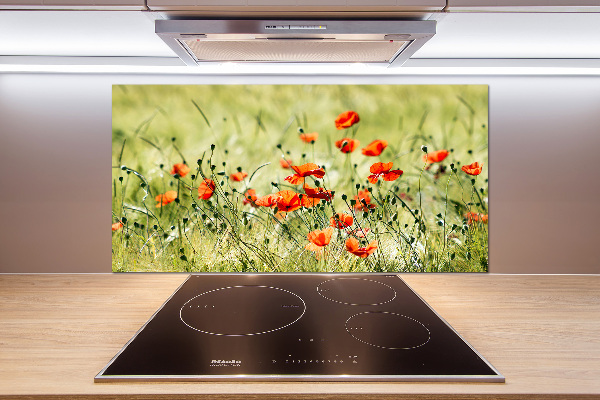 Platte für Küchenrückwand Mohnblumen