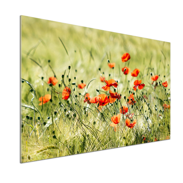 Platte für Küchenrückwand Mohnblumen