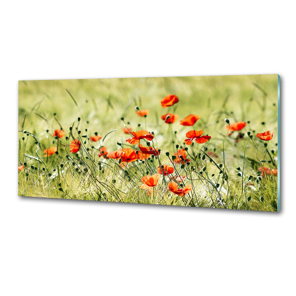 Platte für Küchenrückwand Mohnblumen