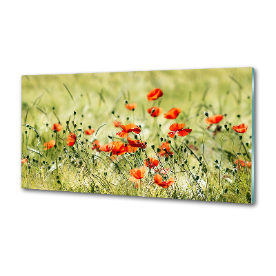 Platte für Küchenrückwand Mohnblumen