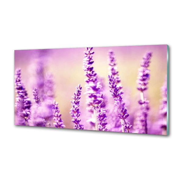 Küchen wandpaneel Lavendel