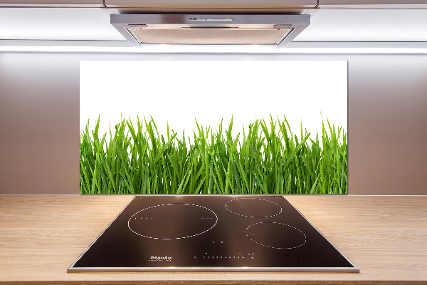 Glasrückwand für die küche Gras