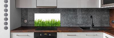 Glasrückwand für die küche Gras