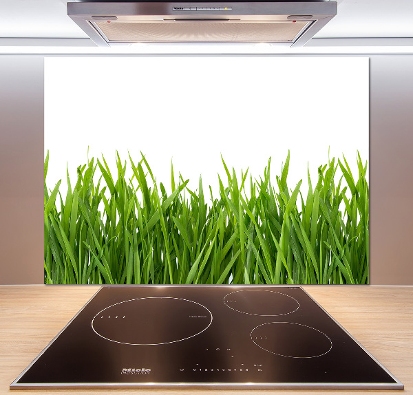 Glasrückwand für die küche Gras