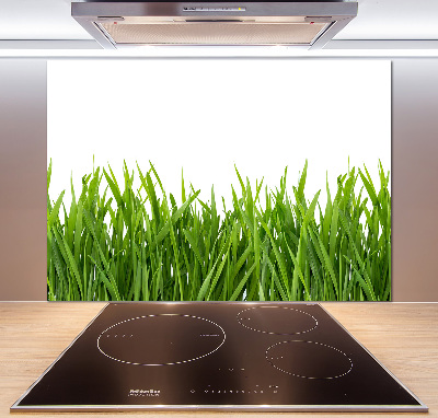 Glasrückwand für die küche Gras