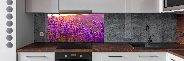 Platte für Küchenrückwand Lavendelfeld