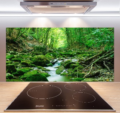 Küchen wandpaneel Ein Bach im Wald