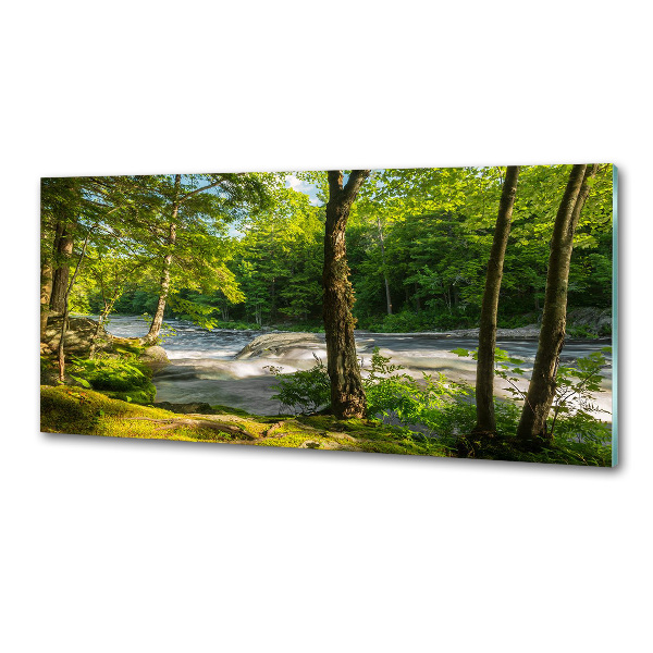 Platte für Küchenrückwand Fluss im Wald