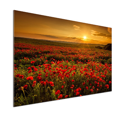Küchen wandpaneel Mohnfeld