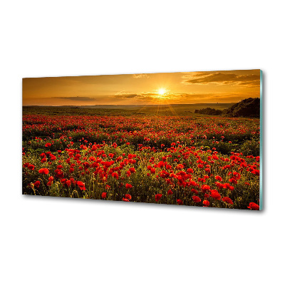 Küchen wandpaneel Mohnfeld