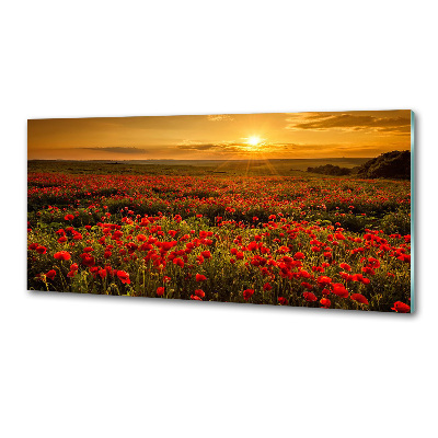 Küchen wandpaneel Mohnfeld