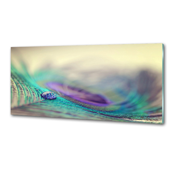 Küchen wandpaneel Ein Tropfen auf einer Feder