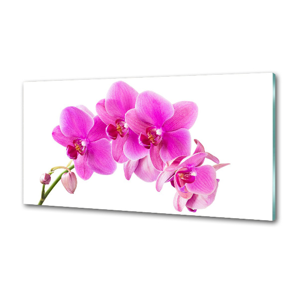 Glasrückwand für die küche Rosa Orchidee