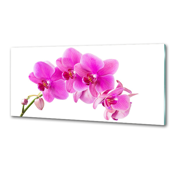 Glasrückwand für die küche Rosa Orchidee