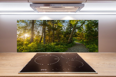 Platte für Küchenrückwand Wald