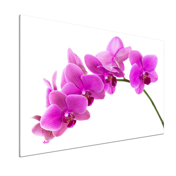 Küchen wandpaneel Rosa Orchidee
