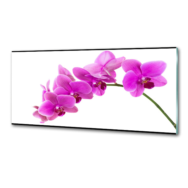 Küchen wandpaneel Rosa Orchidee